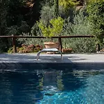 Iris With Swimming Pool
