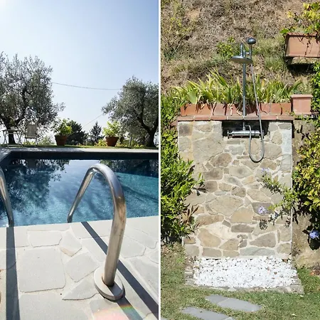 Iris With Swimming Pool Capannori
