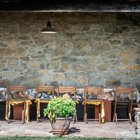 Iris With Swimming Pool *