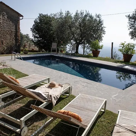 Iris With Swimming Pool Capannori