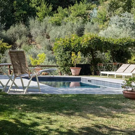 Iris With Swimming Pool
