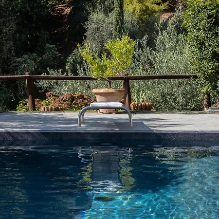 Iris With Swimming Pool