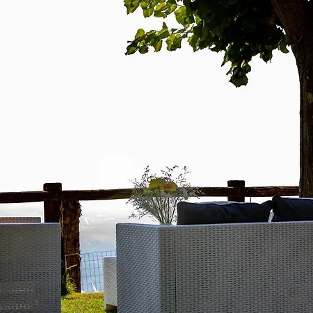 Iris With Swimming Pool