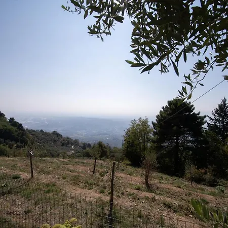 Iris With Swimming Pool * Capannori