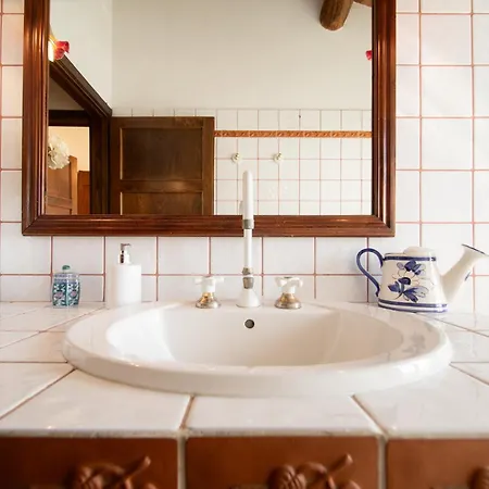 Iris With Swimming Pool * Capannori