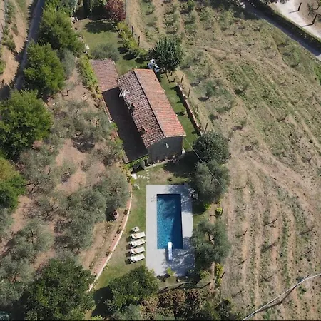 Iris With Swimming Pool * Capannori
